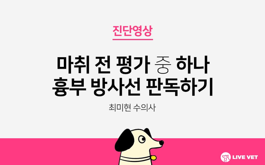 마취 전 평가 중 하나 흉부 방사선 판독하기