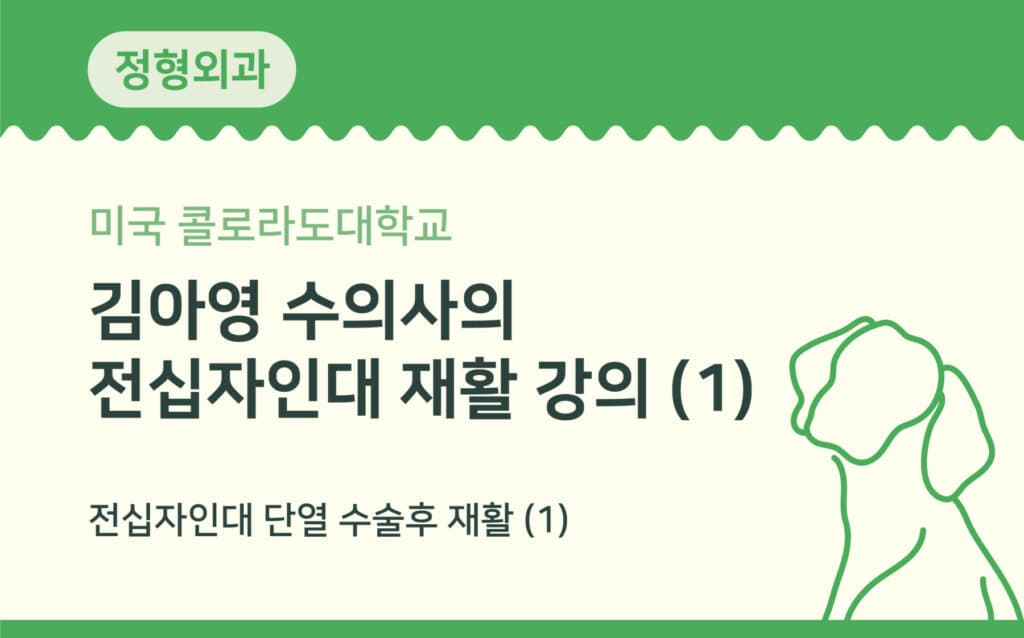 전십자인대 단열 수술 후 재활 (1)