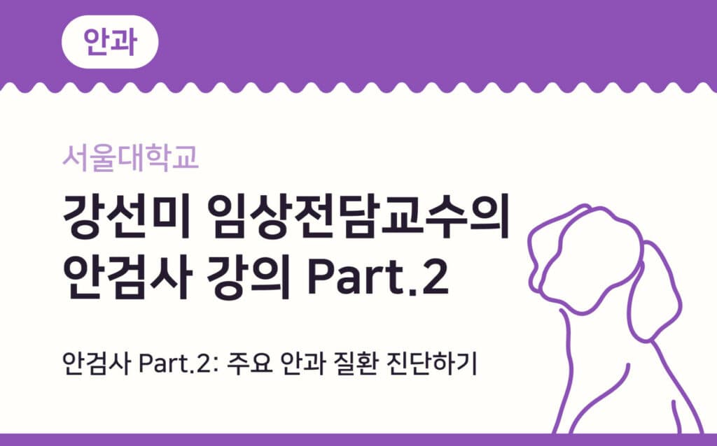 안검사 강의 Part.2 주요 안과 질환 진단하기