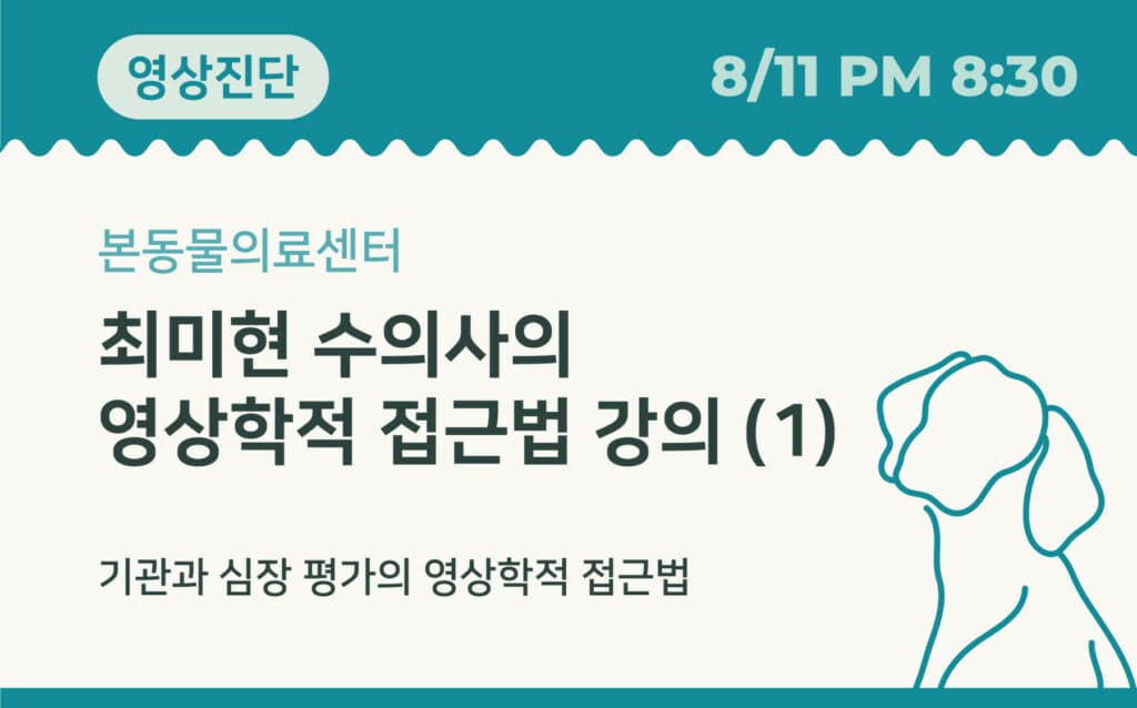 기관과 심장 평가의 영상학적 접근법
